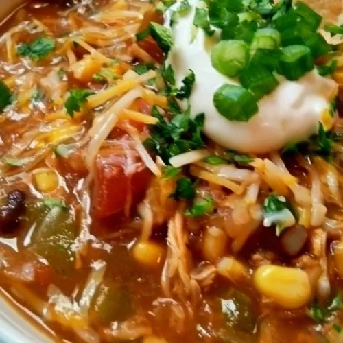 crock pot taco soup 2026 09 13 163813 683x1024 1
