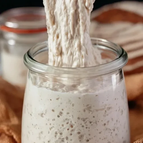easy sourdough starter 2026 09 13 163821 683x1024 1