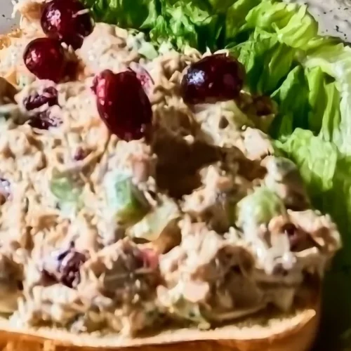 healthy cranberry tuna salad 2026 09 13 162753 683x1024 1