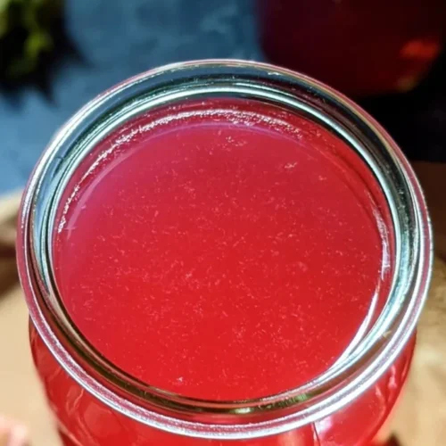 homemade rhubarb simple syrup 2026 09 13 162747 683x1024 1