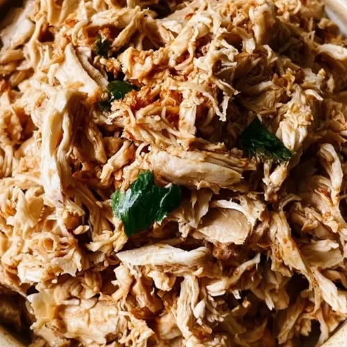 shredded chicken 2026 09 13 163927 683x1024 1